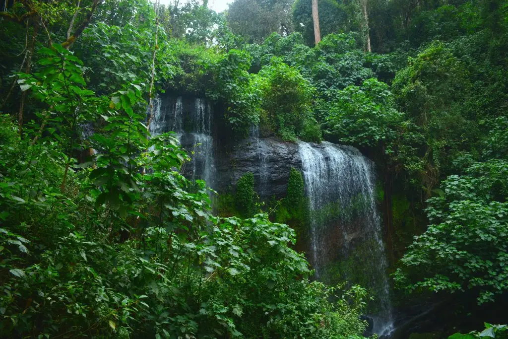 Chebonet Waterfalls surrounded by natural forest along the Mount Elgon nature trail in Eastern