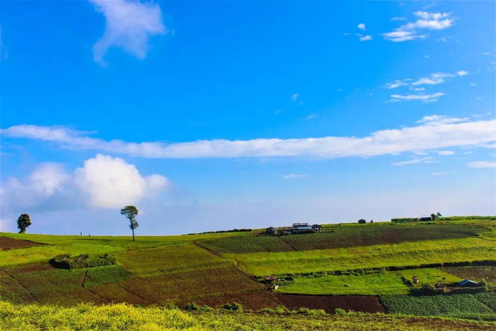Ndorobo community village along the Ndorobo Nature Trail in Mount Elgon