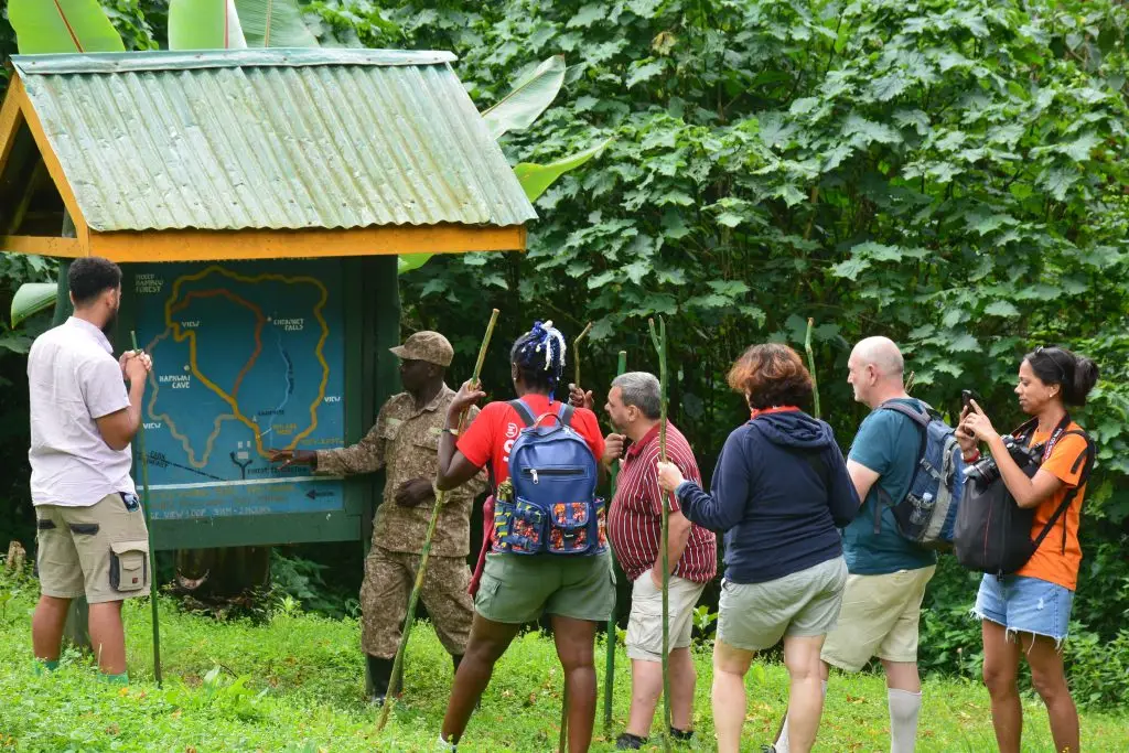 Guided forest walk in Mount Elgon National Park