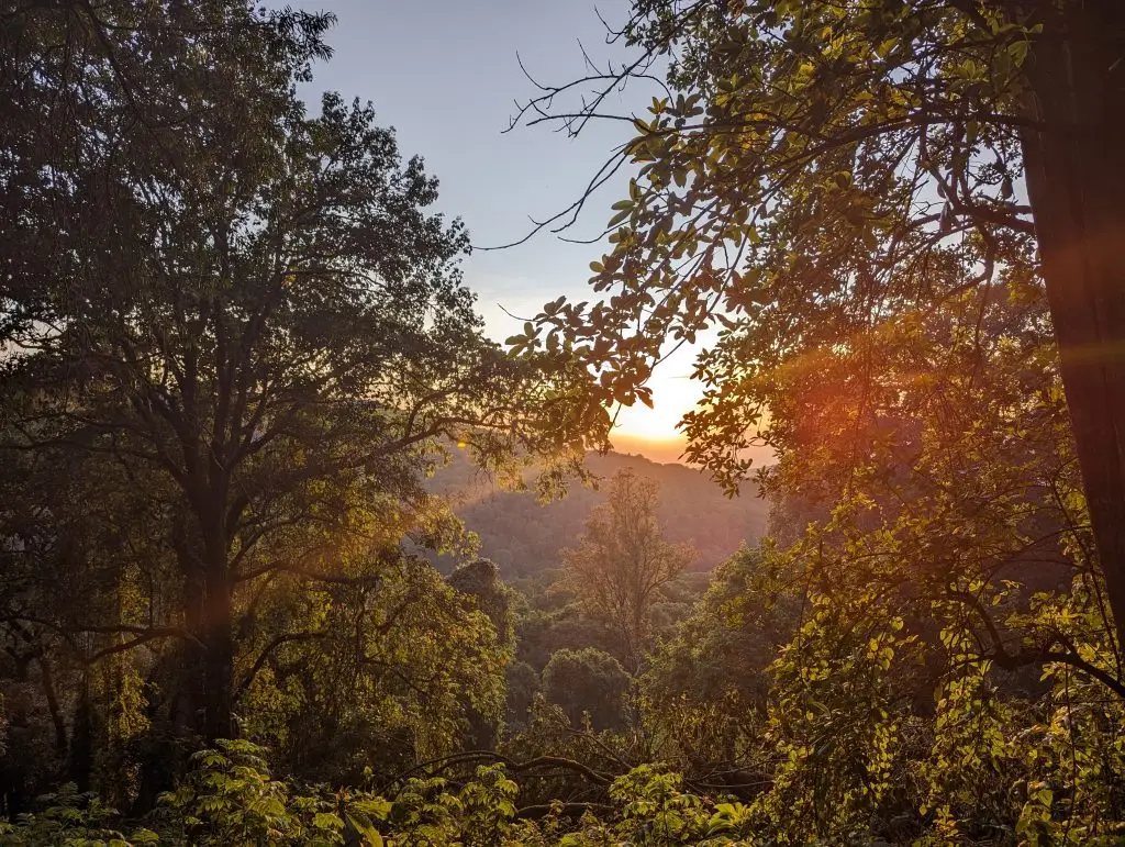 Scenic mountain views and natural landscapes on Mount Elgon Sipi Trail hike