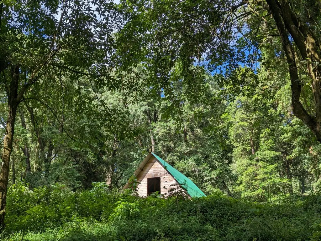 Tutum Cave Camp on Mount Elgon during 2 day trekking adventure in Uganda