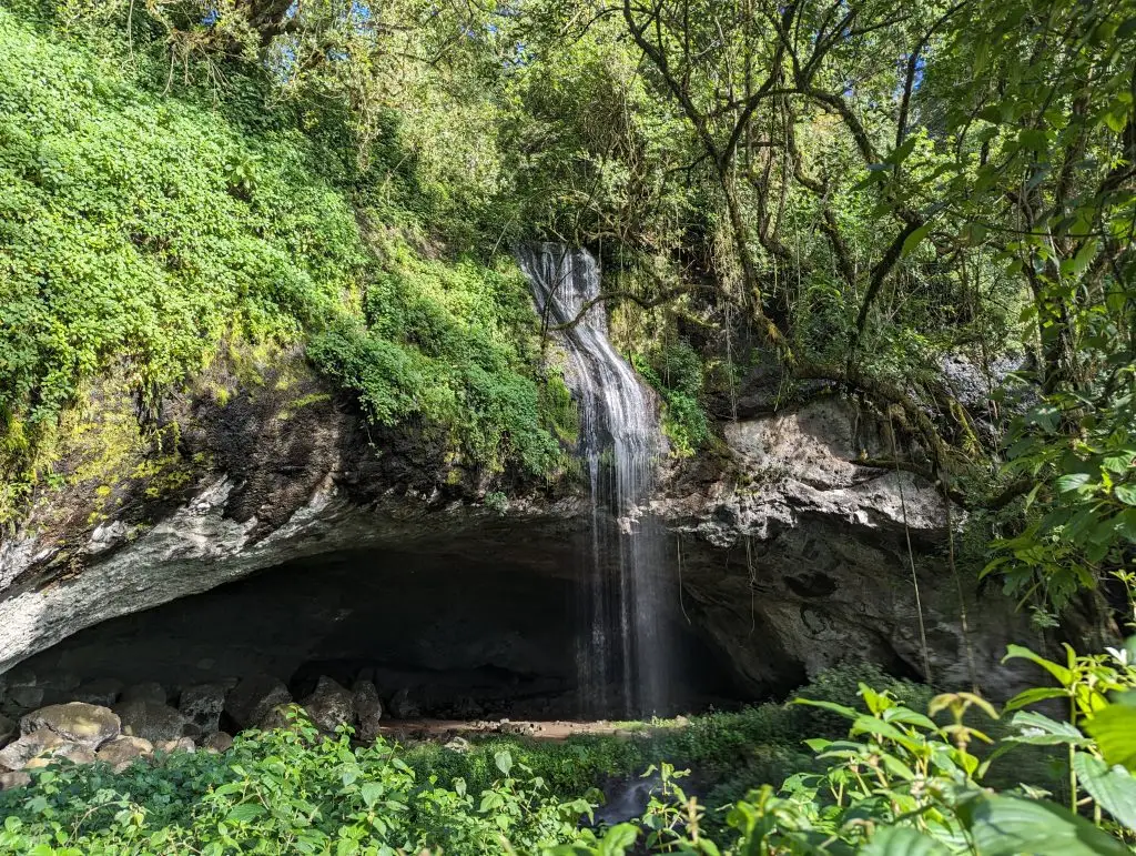 Mount Elgon Tutum Cave Hike on Sipi Trail Uganda