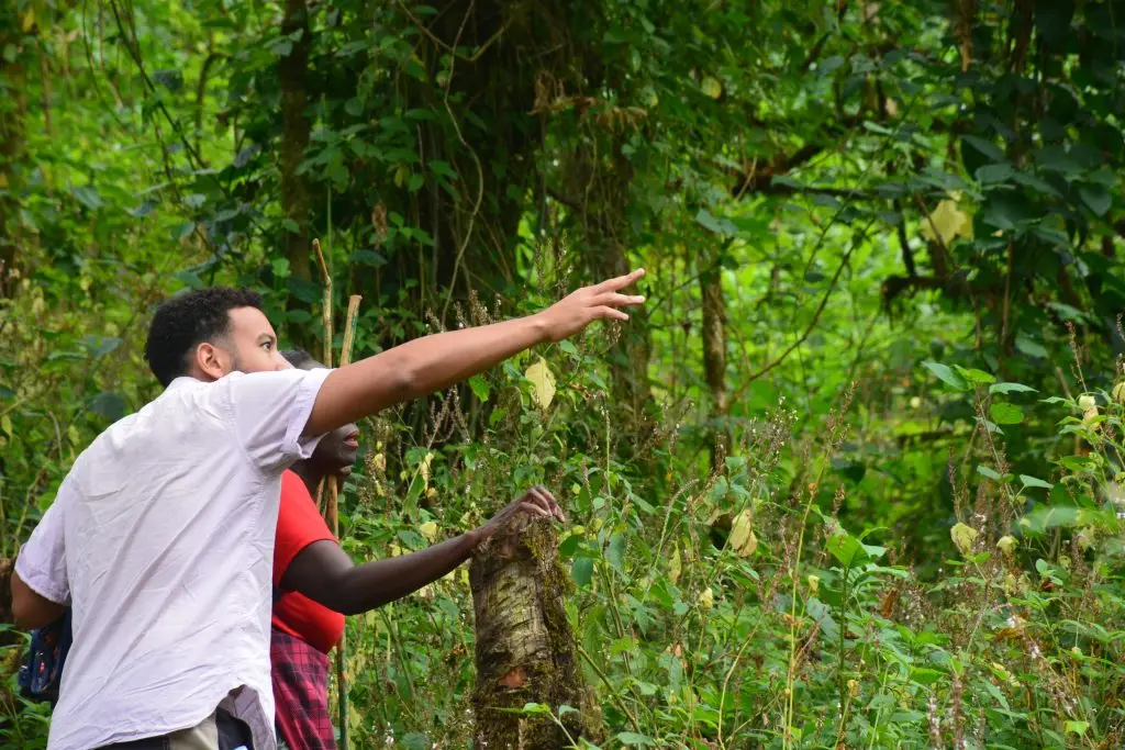 Mount Elgon Nature Walk Day Hike trail in Uganda