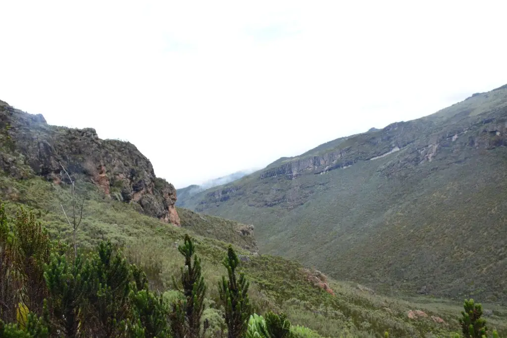 Mount Elgon trekking Wagagai peak